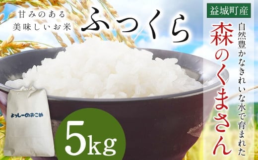 令和7年産 益城町 精米 森のくまさん 5kg 米 お米 【2025年11月上旬より順次発送予定】