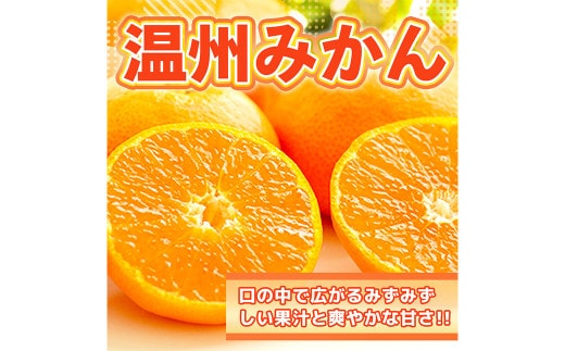 温州みかん 約10kg 2S~2L みかん 果物 くだもの 旬 益城町産【2026年11月上旬より発送開始】