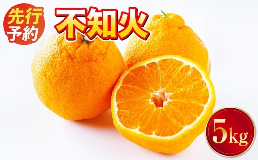 < R8年熊本地震復興支援 >不知火 約5kg デコポン 果物 くだもの 旬 益城町産【2027年2月上旬-4月上旬発送予定】