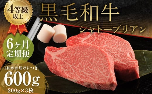 【6ヶ月定期便】くまもと黒毛和牛シャトーブリアン 600g(200g×3枚)牛肉 牛 肉