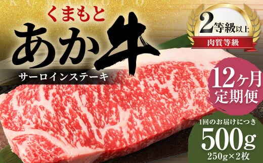 【12ヶ月定期便】くまもとあか牛サーロイン500g(250g×2枚)牛肉 牛 肉