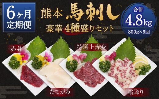 【6ヶ月定期便】熊本 馬刺し 豪華4種盛りセット 800g×6回
