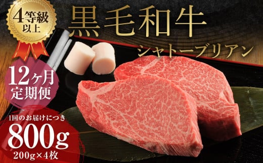 【12ヶ月定期便】 くまもと 黒毛和牛 シャトーブリアン 800g(200g×4枚) 牛肉 牛 肉