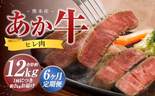 【6か月定期便】 熊本 あか牛 ヒレ肉 約2kg (約150g×10枚~12枚) 牛 肉 牛肉 ヒレ ステーキ