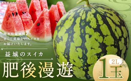 熊本県 益城町 スイカ 肥後漫遊 2L 1玉 約7kg 【2026年4月下旬~6月下旬迄発送予定】