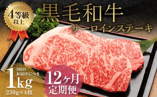 【12ヶ月定期便】くまもと黒毛和牛サーロインステーキ 1.0kg(250g×4枚)牛肉 牛 肉
