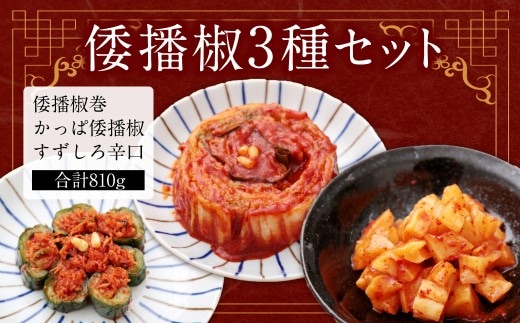 倭播椒 3種セット 倭播椒巻(260g) かっぱ倭播椒(280g) すずしろ倭播椒辛口(270g) 計810g