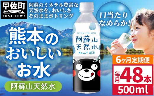 【定期便6ヶ月】熊本のおいしいお水 阿蘇山天然水 500ml×48本（2ケース）（共通返礼品・御船町） - 天然水 水 飲料水 ミネラルウォーター 箱買い まとめ買い ペットボトル 飲料 ウォーター 軟水 防災グッズ 防災 備蓄 ローリングストック ストック 熊本県
