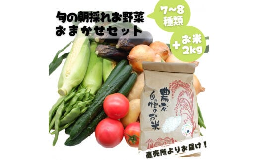 旬のお野菜おまかせセット＆山出米2kg【新米先行受付】 - 令和7年11月以降順次発送 新米 令和7年産 新鮮 野菜 旬 朝採れ 季節 精米 お米 米 しっとり もちもち 甘み おにぎり ごはん 複数原料米 セット 詰め合わせ おまかせ 国産 九州産 熊本県 熊本県産 甲佐町【価格改定ZB】