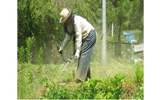 空き家、空き地の草刈サービス（年2回）- シルバー人材センター 除草 草刈り 写真報告 代行サービス 熊本県 甲佐町