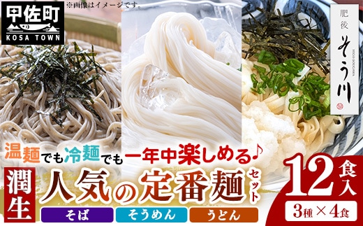潤生「人気の定番麺」セット12食入り - うどん そば そうめん 饂飩 蕎麦 素麺 麺類 国産 九州産 小麦 つゆ付 国産小麦 手延べ てのべ 潤い 早茹で 再熟成 こだわり もっちり食感 簡単 煮込むだけ 常温保存可能 人気 おすすめ 熊本県 甲佐町