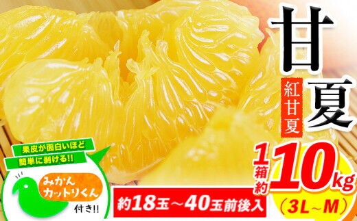 みかん 好き必見 甘夏 熊本県産(津奈木町産含む) 甘夏 約 10kg (約18～40玉前後) 柑橘 大玉 ミカン《2月中旬-4月末頃出荷予定》 フルーツ 旬 甘夏みかん 果物 訳あり 定期 でない---tn_amana2_j24_r7_13000_10kg---