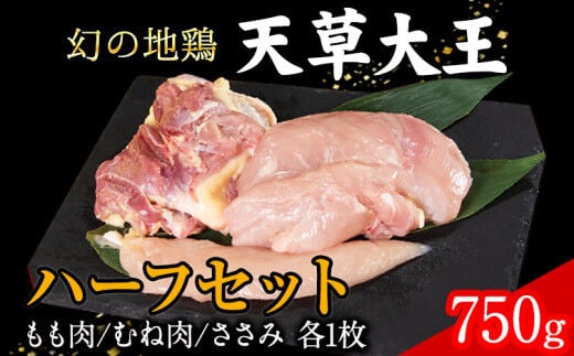 天草大王 ハーフセット 約750g【幻の地鶏】もも・むね・ささみ各1枚 熊本県産 葦北郡 津奈木町《60日以内に出荷予定(土日祝除く)》---dt_fasohalf_60d_r7_11000_750g---