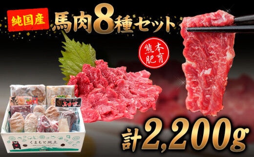 純国産馬肉8種セット 計2200g 熊本肥育 2年連続農林水産大臣賞受賞 送料無料 馬刺し 馬肉 馬スジ ホルモン 燻製 霜降り ハンバーグ 津奈木町《60日以内に出荷予定(土日祝除く)》---tn_fba8syu_60d_r7_25000_2200g---