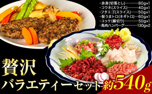 贅沢バラエティセット 540g 馬肉 冷凍 《60日以内に出荷予定(土日祝除く)》 新鮮 さばきたて 生食用 肉 熊本県葦北郡津奈木町 馬刺し 馬肉 惣菜 希少部位---st_fsenzibr_60d_r7_14000_540g---