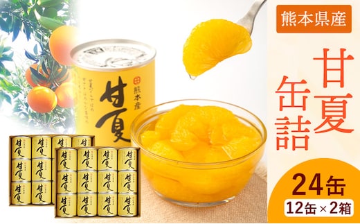 甘夏缶詰24缶入り (12缶×2箱)《60日以内に出荷予定(土日祝除く)》熊本県 葦北郡 津奈木町 あしきた農業協同組合 JAあしきた 柑橘 甘夏 あまなつ フルーツ 果物 缶詰 送料無料---st_jakanama_60d_r7_26000_24p---