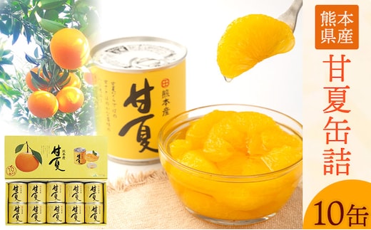 甘夏缶詰10缶入り《60日以内に出荷予定(土日祝除く)》熊本県 葦北郡 津奈木町 あしきた農業協同組合 JAあしきた 柑橘 甘夏 あまなつ フルーツ 果物 缶詰 送料無料---st_jakanama_60d_r7_13500_10p---