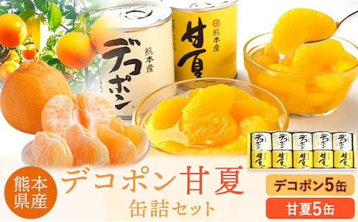 デコポン・甘夏缶詰セット計10缶入り《30日以内に出荷予定(土日祝除く)》熊本県 葦北郡 津奈木町 あしきた農業協同組合 JAあしきた 柑橘 デコポン 甘夏 あまなつ フルーツ 果物 缶詰 セット 送料無料---st_jakandeama_30d_r7_13500_10p---