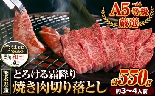 くまもと黒毛和牛 和王 バラ 霜降り 焼肉切り落とし 550g A5 A4 等級《30日以内に出荷予定(土日祝除く)》熊本県 津奈木町 黒毛和牛 牛肉 冷凍 個別 取分け 小分け チャック付き バラ凍結 肉 お肉 焼き肉 焼き肉用---tn_fwow_30d_r7_12000_550g---