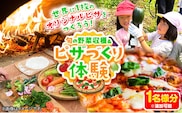 野菜収穫・ピザづくり体験チケット 1名様分※追加可能《30日以内に出荷予定(土日祝除く)》熊本県 葦北郡 津奈木町 わらく農園 ピザ 野菜 手作りピザ ピザ窯 送料無料---st_wrktaiken_30d_r7_12000_1p---