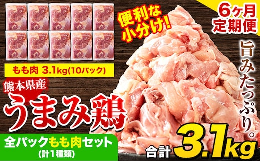 【6ヶ月定期便】 鶏肉 うまみ鶏 全パックもも肉セット(計1種類) 若鶏 冷凍 小分け《お申込み月の翌月より出荷開始》---tn_ftei_r7_87000_3100g_mo6---