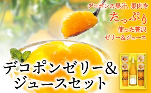 デコポンゼリー＆ジュースセット《30日以内に出荷予定(土日祝除く)》熊本県 葦北郡 津奈木町 あしきた農業協同組合 JAあしきた 柑橘 デコポン ジュース ゼリー セット ギフト 包装 送料無料---st_jaadkjeljui_30d_r7_13000_9i---