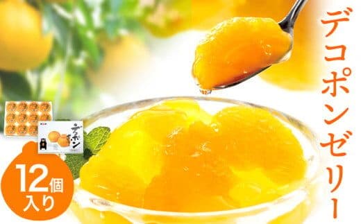 デコポンゼリー 12個入《60日以内に出荷予定(土日祝除く)》熊本県 葦北郡 津奈木町 あしきた農業協同組合 JAあしきた 柑橘 デコポン フルーツ 果物 ゼリー ギフト 包装 送料無料---st_jaadkjelly_60d_r7_13000_12i---