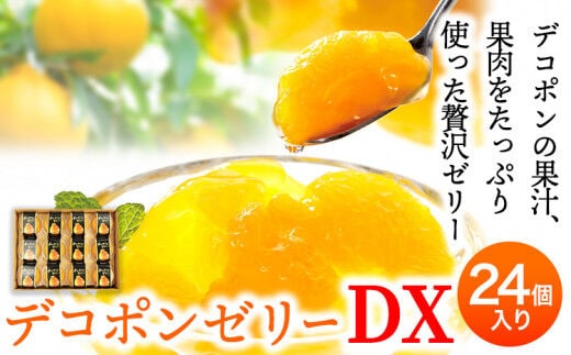 デコポンゼリーDX 24個入《60日以内に出荷予定(土日祝除く)》熊本県 葦北郡 津奈木町 あしきた農業協同組合 JAあしきた 柑橘 デコポン フルーツ 果物 ゼリー ギフト 包装 送料無料---st_jaadkjellydx_60d_r7_22000_24i---