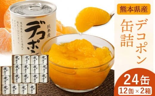 デコポン缶詰24缶入り (12缶×2箱)《60日以内に出荷予定(土日祝除く)》熊本県 葦北郡 津奈木町 あしきた農業協同組合 JAあしきた 柑橘 デコポン フルーツ 果物 缶詰 送料無料---st_jakandeko_60d_r7_26000_24p---