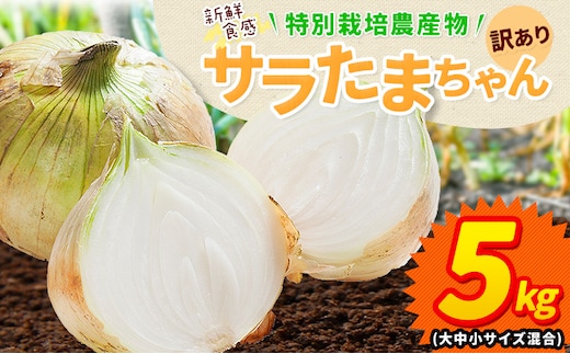 訳あり サラたまちゃん 新玉ねぎ 5kg 《2026年4月中旬~5月末頃出荷》熊本県 葦北郡 津奈木町 野菜 たまねぎ エコファーマー 大中小サイズ混合 特産品 サラたまちゃん サラダ玉ねぎ 玉ねぎ タマネギ---tn_wsnt_bc4_r7_5000_5kgs---