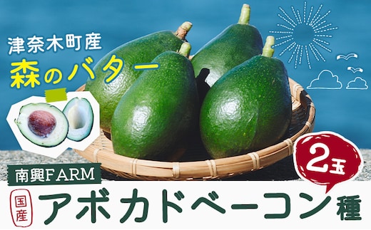国産 アボカド ベーコン種 2玉入り 《10月上旬-11月上旬頃出荷》熊本県 津奈木町 アボカド アボカドベーコン 果物 旬 果物 南興ファーム---tng_nkf_3_2b---