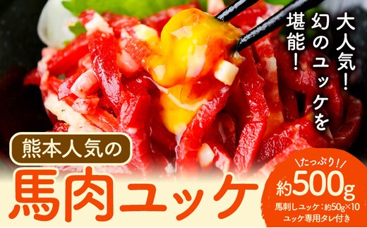 馬刺し 熊本 人気の 馬肉ユッケ たっぷり 500g 株式会社利他フーズ《60日以内に出荷予定(土日祝除く)》 ユッケ 海外産 国内肥育 冷凍 生食用 肉 馬肉 ふるさと納税馬刺し 熊本県 津奈木町 送料無料 馬刺 ばさし 名物---st_fritaby_60d_26_21500_500g---