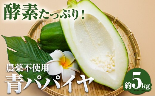 パパイヤ 青パパイヤ パパイア 野菜 健康野菜 5kg ゆいやわす《9月下旬-12月中旬頃出荷予定》熊本県 葦北郡 津奈木町 国産 人気 お試し カレー お味噌汁 炒め物 サラダ に 酵素 食物繊維 たっぷり ---st_yuiaopp_h912_r7_13500_5k---