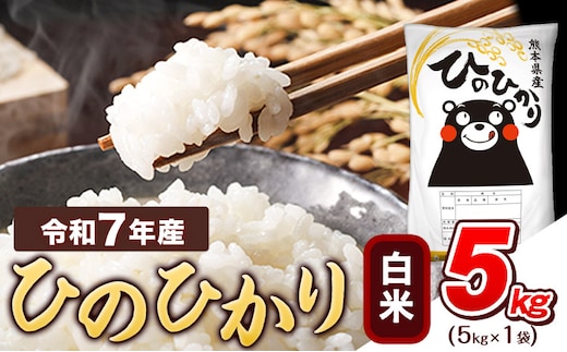 令和7年産 白米 ひのひかり 5kg 《7-14日以内に出荷予定(土日祝除く)》令和7年産 熊本県産 ふるさと納税 精米 ひの 米 こめ ふるさとのうぜい ヒノヒカリ コメ お米 おこめ---tn_hn7_wx_12500_5kg_h---
