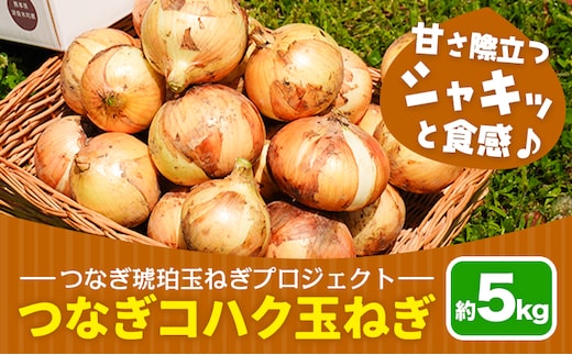 玉ねぎ つなぎコハク玉ねぎ 約5kg《4月中旬-5月中旬出荷》熊本県 葦北郡 津奈木町 つなぎ琥珀玉ねぎプロジェクト 野菜 たまねぎ---st_tktptg_q4_r7_8500_5kg---