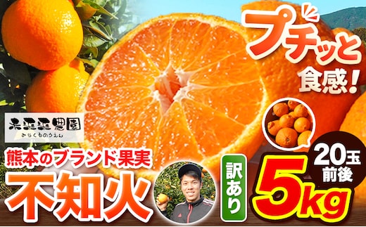 不知火 先行予約 訳あり 熊本のブランド果実 不知火 約 5kg 20玉前後 未来来農園 《4月上旬-4月下旬頃出荷》熊本県 葦北郡 津奈木町 デコポン でこぽん フルーツ 柑橘 しらぬい---st_mrgsira_ab4_r8_12000_5kg---