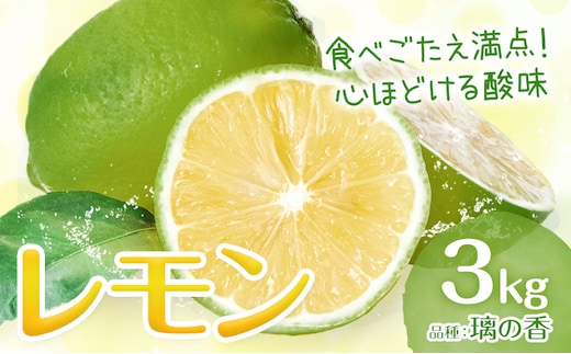 レモン りのか 璃の香 3kg まる農園《2026年11月中旬-2027年1月中旬頃出荷》熊本県 津奈木町 青果物 れもん 果物 フルーツ グリーンレモン---st_marnen_q111_r8_8500_3kg---