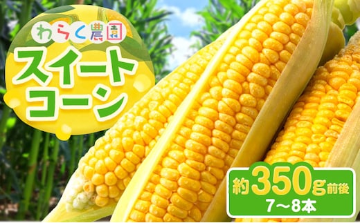 スイートコーン 7～8本 350g前後 わらく農園《2027年6月上旬-6月末頃出荷》熊本県 葦北郡 津奈木町 とうもろこし コーン 送料無料---st_wenkon_6j6m_26_12000_7p---