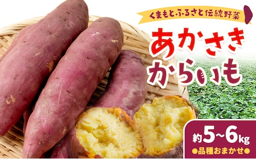 あかさきからいも 約5kgから6kg 品種おまかせ わらく農園《11月中旬-11月下旬頃出荷》熊本県 葦北郡 津奈木町 さつまいも サツマイモ からいも くまもとふるさと伝統野菜---st_wenkrim_11c11g_26_12000_5kg---