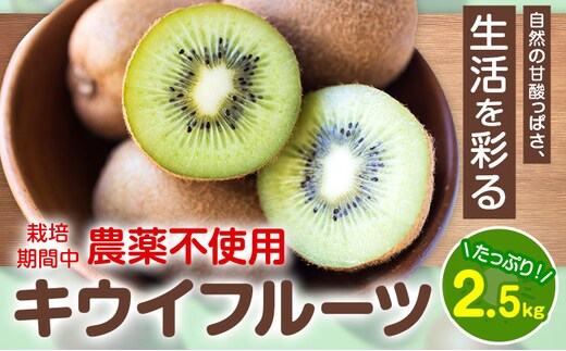 キウイフルーツ 2.5kg ゆいやわす《11月上旬-4月末頃出荷》熊本県 葦北郡 津奈木町 キウイ フルーツ 新鮮 食物繊維 国産---st_yuikui_11j4m_26_11500_2500g---