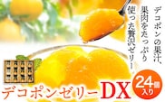 デコポンゼリーDX 24個入《60日以内に出荷予定(土日祝除く)》熊本県 葦北郡 津奈木町 あしきた農業協同組合 JAあしきた 柑橘 デコポン フルーツ 果物 ゼリー ギフト 包装 送料無料---st_jaadkjellydx_60d_r7_22000_24i---