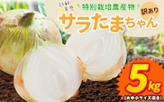 訳あり サラたまちゃん 新玉ねぎ 5kg 《2026年4月中旬~5月末頃出荷》熊本県 葦北郡 津奈木町 野菜 たまねぎ エコファーマー 大中小サイズ混合 特産品 サラたまちゃん サラダ玉ねぎ 玉ねぎ タマネギ---tn_wsnt_bc4_r7_5000_5kgs---