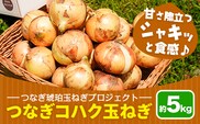 玉ねぎ つなぎコハク玉ねぎ 約5kg《4月中旬-5月中旬出荷》熊本県 葦北郡 津奈木町 つなぎ琥珀玉ねぎプロジェクト 野菜 たまねぎ---st_tktptg_q4_r7_8500_5kg---