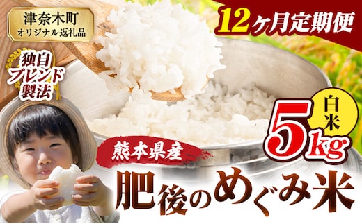 【12ヶ月定期便】白米 熊本県産 ブレンド米 肥後のめぐみ米 5kg 熊本県産 ふるさと納税 精米 米 こめ ふるさとのうぜい コメ お米 おこめ《お申込み翌月から出荷》---tn_hmgtei_138000_5kgh_mo12---