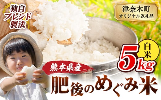 白米 熊本県産 ブレンド米 肥後のめぐみ米 5kg 熊本県産 ふるさと納税 精米 米 こめ ふるさとのうぜい コメ お米 おこめ《7-14日以内に出荷予定(土日祝除く)》---tn_hmg_wx_10500_5kg_h---