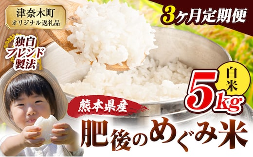 【3ヶ月定期便】白米 熊本県産 ブレンド米 肥後のめぐみ米 5kg 熊本県産 ふるさと納税 精米 米 こめ ふるさとのうぜい コメ お米 おこめ《お申込み翌月から出荷》---tn_hmgtei_34500_5kgh_mo3---