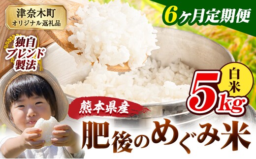 【6ヶ月定期便】白米 熊本県産 ブレンド米 肥後のめぐみ米 5kg 熊本県産 ふるさと納税 精米 米 こめ ふるさとのうぜい コメ お米 おこめ《お申込み翌月から出荷》---tn_hmgtei_63000_5kgh_mo6---