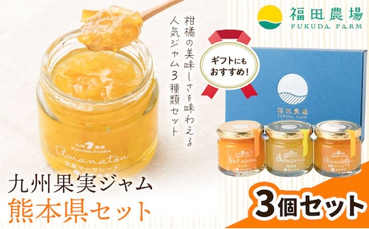 九州果実ジャム 熊本県セット 3個セット デコポンジャム 甘夏マーマレード 晩白柚ジャム 1個あたり120g《30日以内に出荷予定(土日祝日除く)》熊本県 水俣市 津奈木町 福田農場 ジャム マーマレード 柑橘 セット---st_hnmjm_30d_r7_9500_360g---