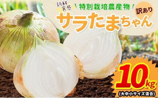 訳あり サラたまちゃん 新玉ねぎ 10kg 《2026年4月中旬~5月末頃出荷予定》熊本県 葦北郡 津奈木町 野菜 たまねぎ エコファーマー 大中小サイズ混合 特産品 サラたまちゃん サラダ玉ねぎ 玉ねぎ タマネギ---tn_wsnt_bc4_r7_8000_10kgs---