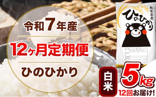 令和7年産 【12ヵ月定期便】白米 ひのひかり 定期便 5kg 5kg×1袋《お申込み翌月から出荷》 熊本県産 精米 ひの 米 こめ ヒノヒカリ コメ お米---hn7tei_132000_5kg_mo12_tn_h---